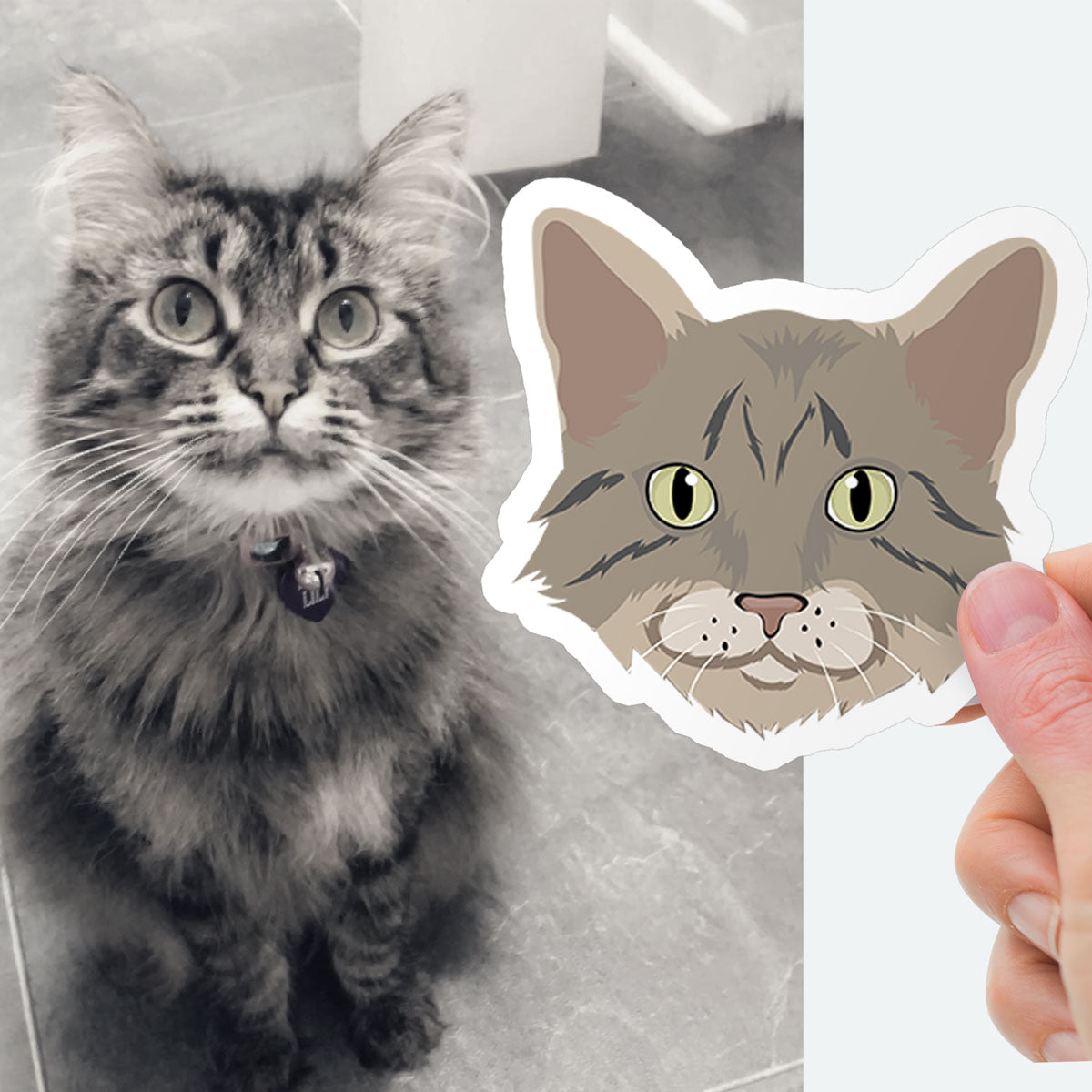 Custom Cat Face Stickers CTNS0005