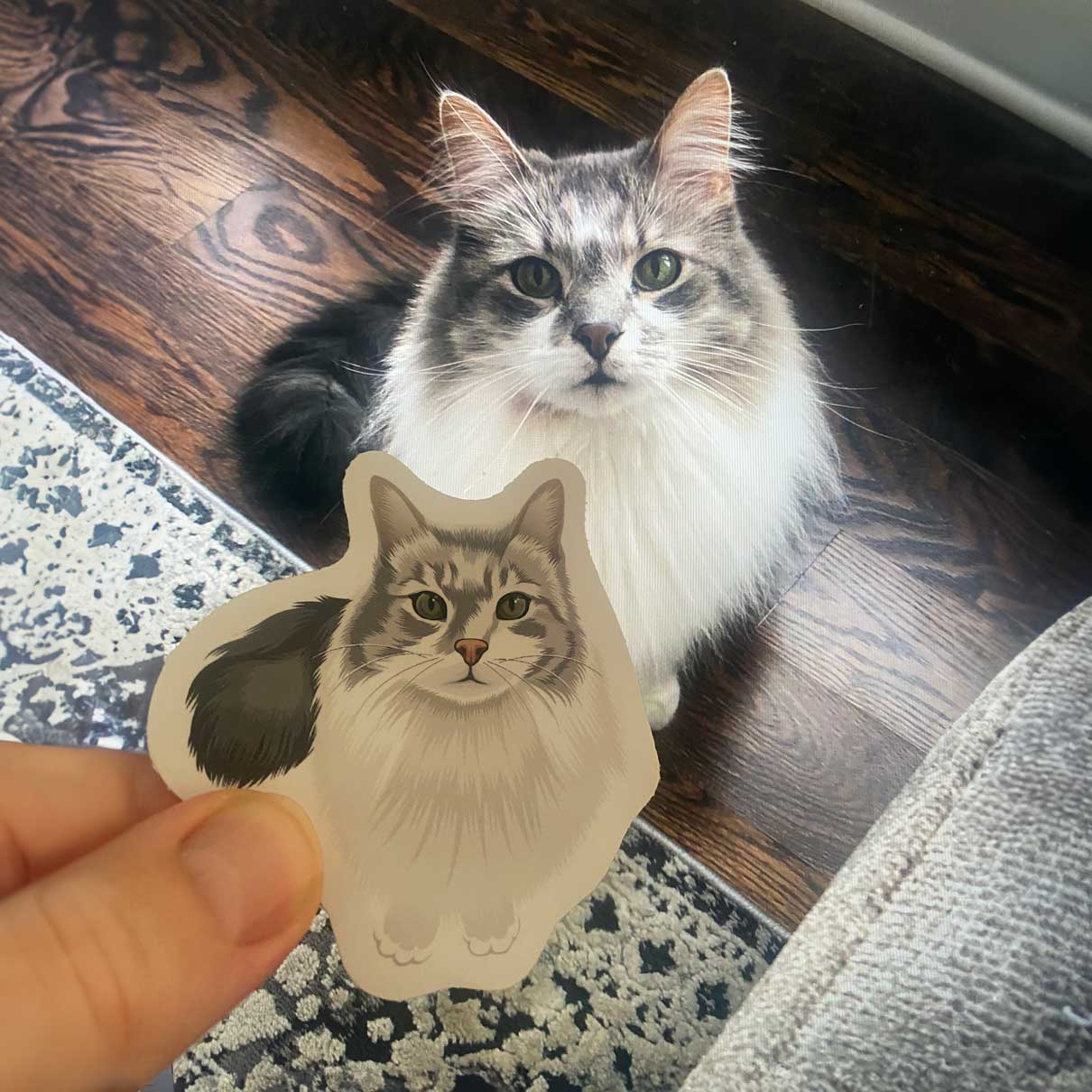 Custom Cat Portrait Stickers CTNS0003